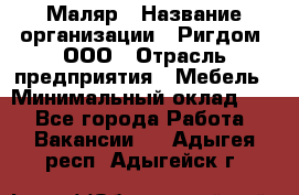 Маляр › Название организации ­ Ригдом, ООО › Отрасль предприятия ­ Мебель › Минимальный оклад ­ 1 - Все города Работа » Вакансии   . Адыгея респ.,Адыгейск г.